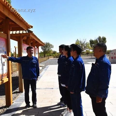 奥运备战新纪元：运动员训练中的科技革命